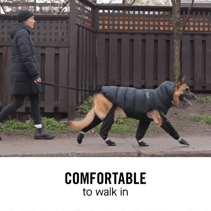 ⚡️Last day 49%OFF⚡️Seurico™ Waterproof Dog Suspender Boots for Outdoor Use